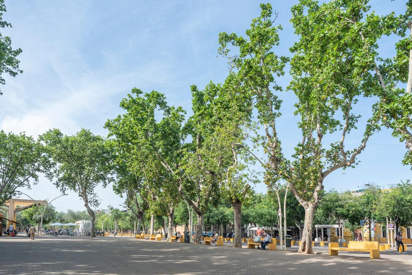 Alohamundi Lumbreras I Daire Sevilla Dış mekan fotoğraf